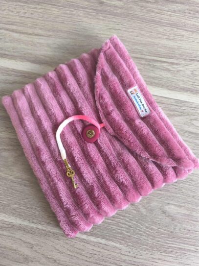 etui liseuse cgargeur kindle kobo